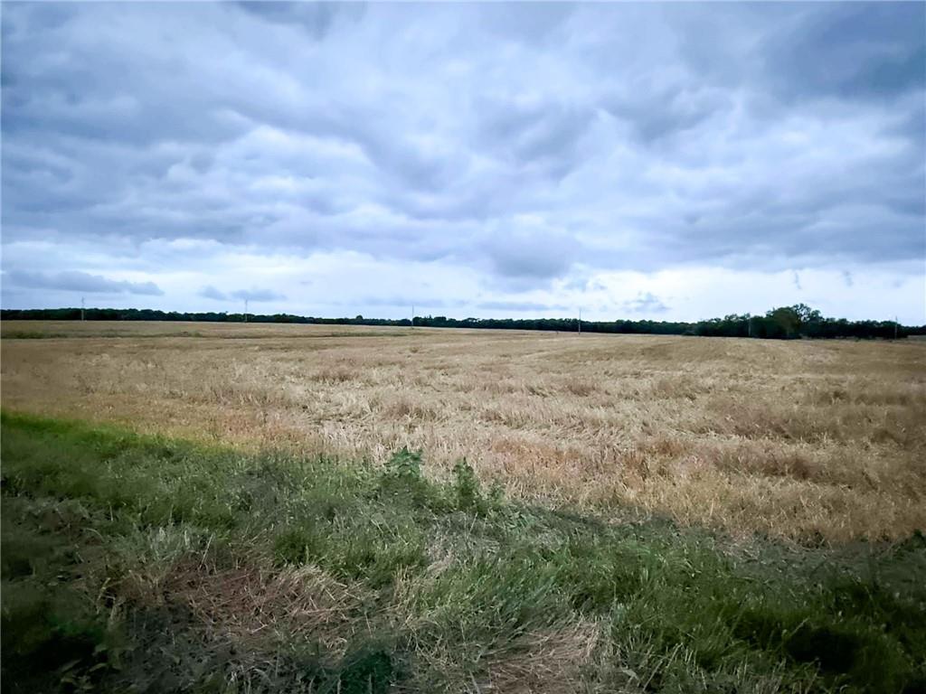 Listing Photo MLS #HMS2563949