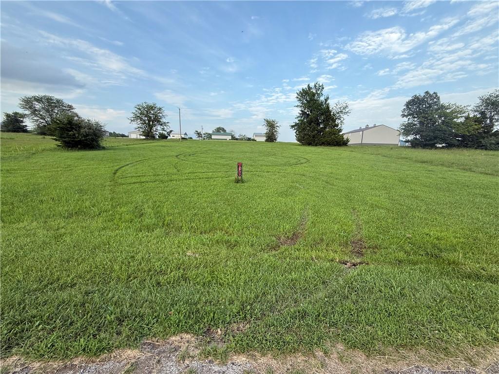 Listing Photo MLS #HMS2564179