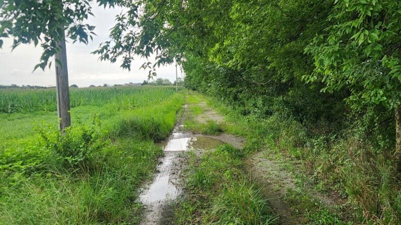 Listing Photo MLS #HMS2564252