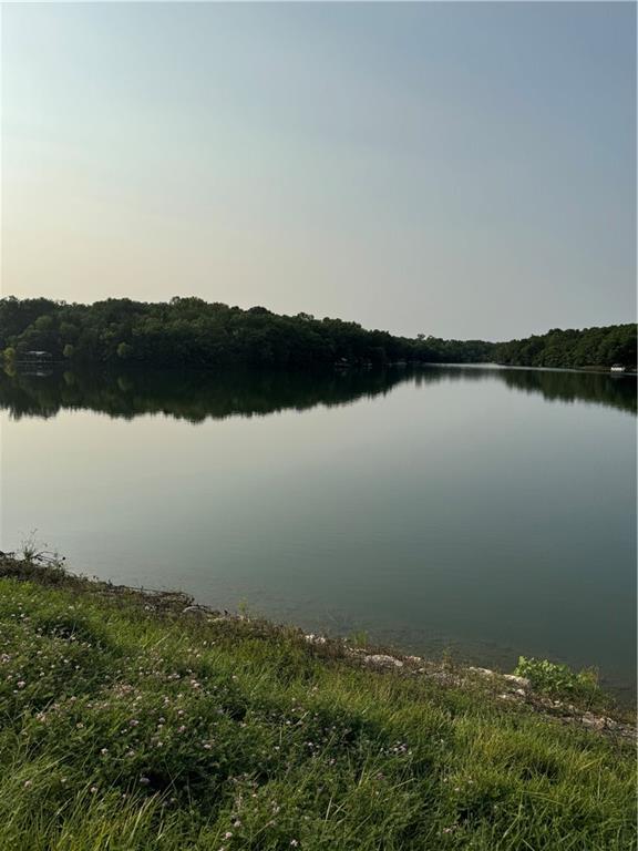 Listing Photo MLS #HMS2564305