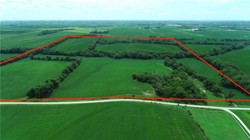 Listing Photo MLS #HMS2564430