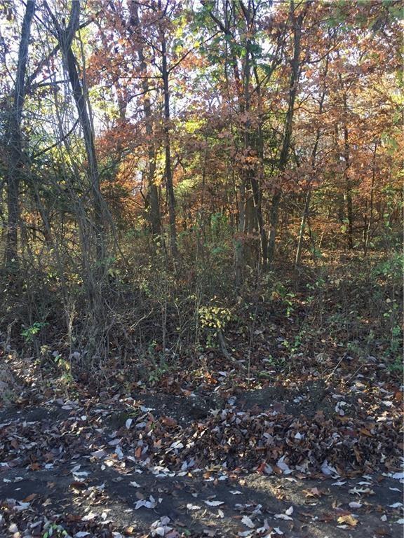 Listing Photo MLS #HMS2564539