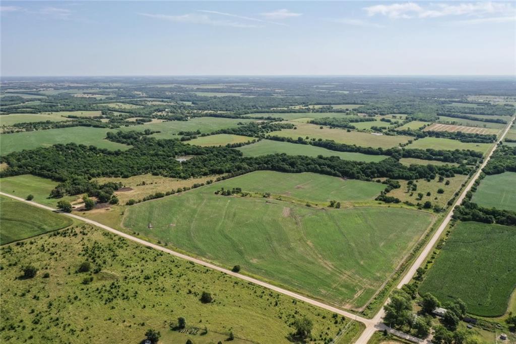 Listing Photo MLS #HMS2564672