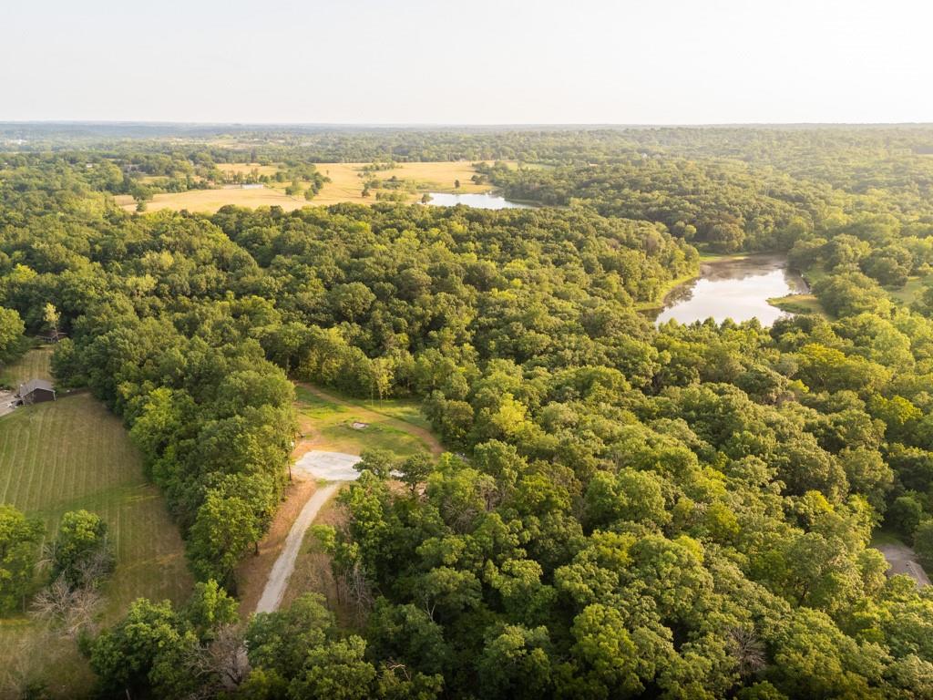 Listing Photo MLS #HMS2565043