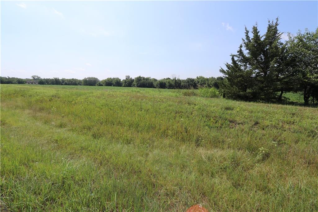 Listing Photo MLS #HMS2565423