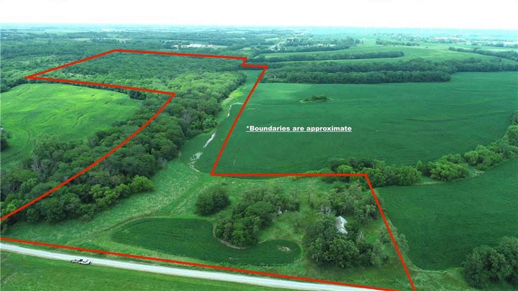 Listing Photo MLS #HMS2565448