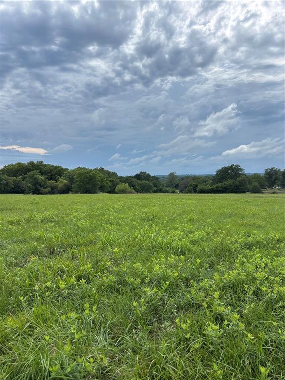 Listing Photo MLS #HMS2565469