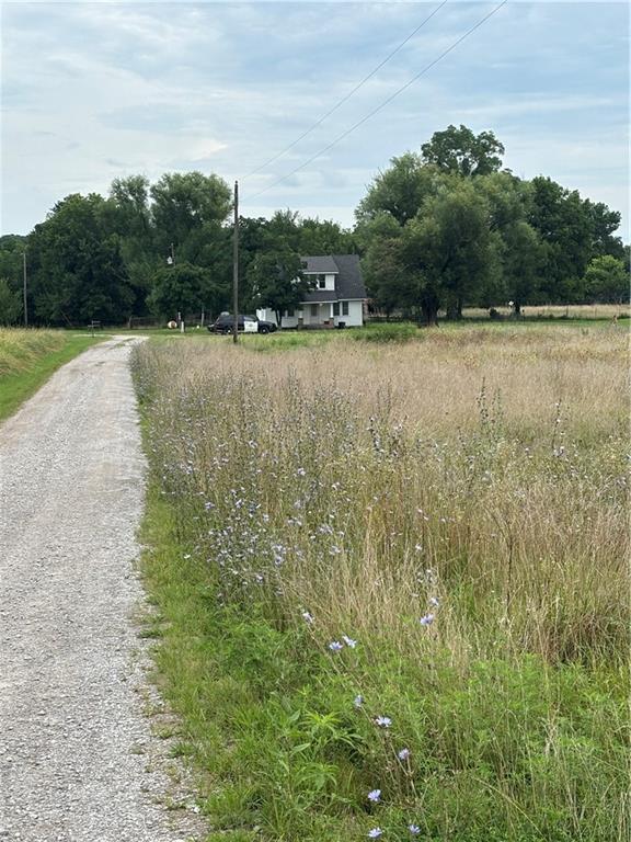 Listing Photo MLS #HMS2565691