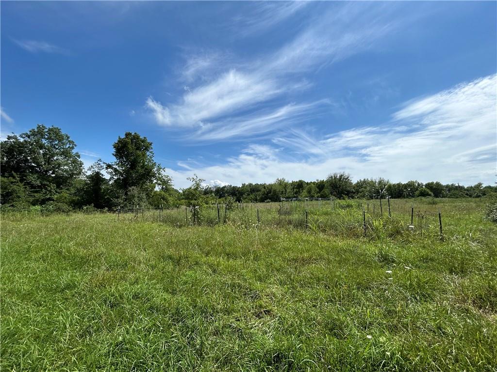 Listing Photo MLS #HMS2565784