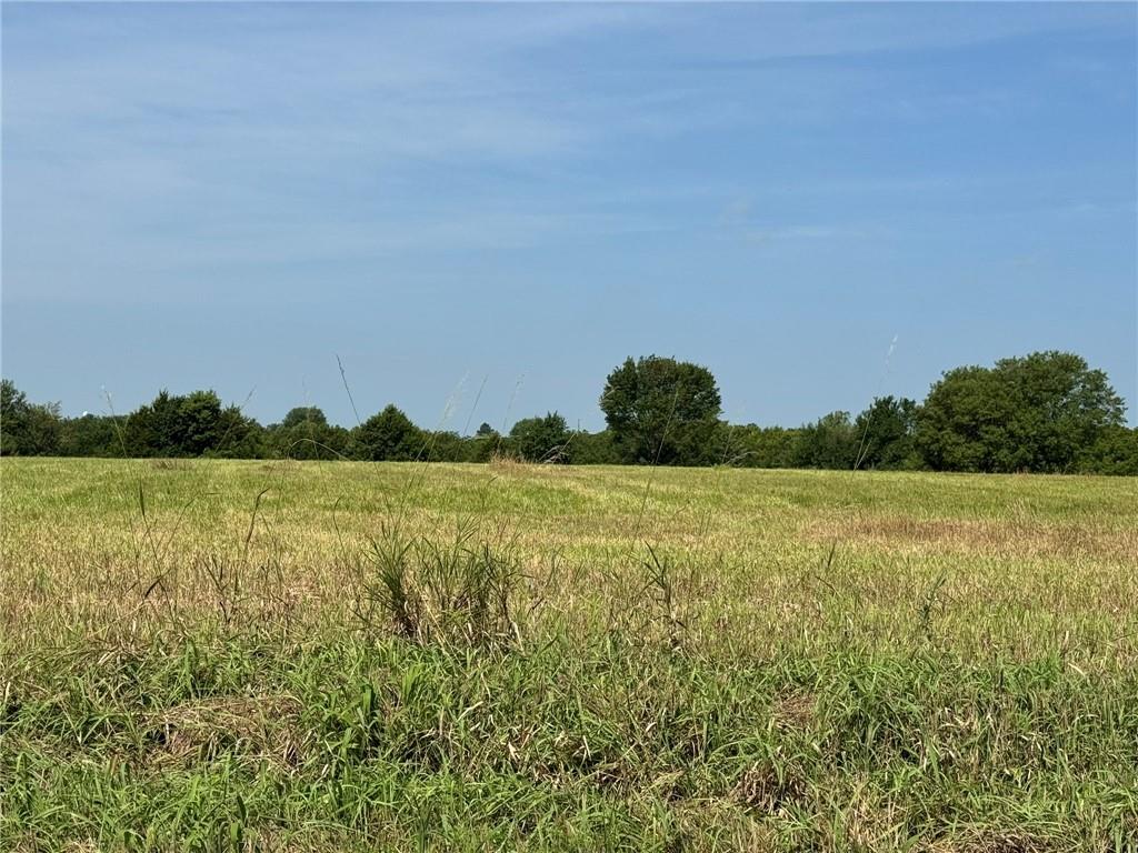Listing Photo MLS #HMS2565805