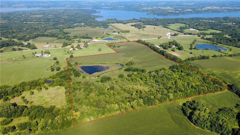 Listing Photo MLS #HMS2565819