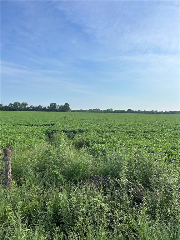 Listing Photo MLS #HMS2565829