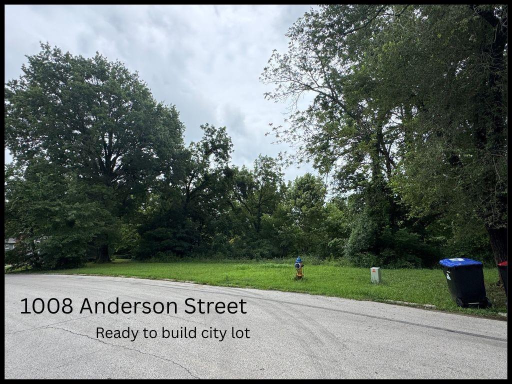 Listing Photo MLS #HMS2565977