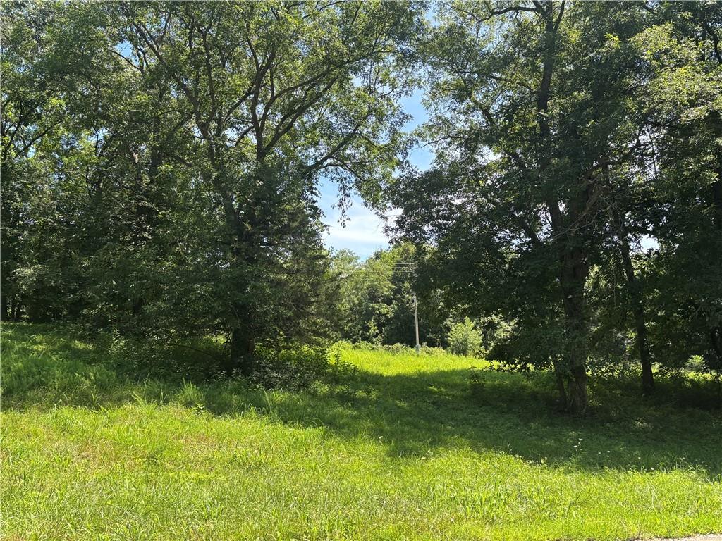 Listing Photo MLS #HMS2566018