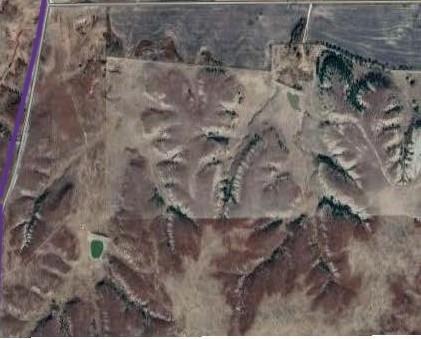 Listing Photo MLS #HMS2566049