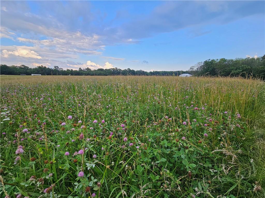 Listing Photo MLS #HMS2566414