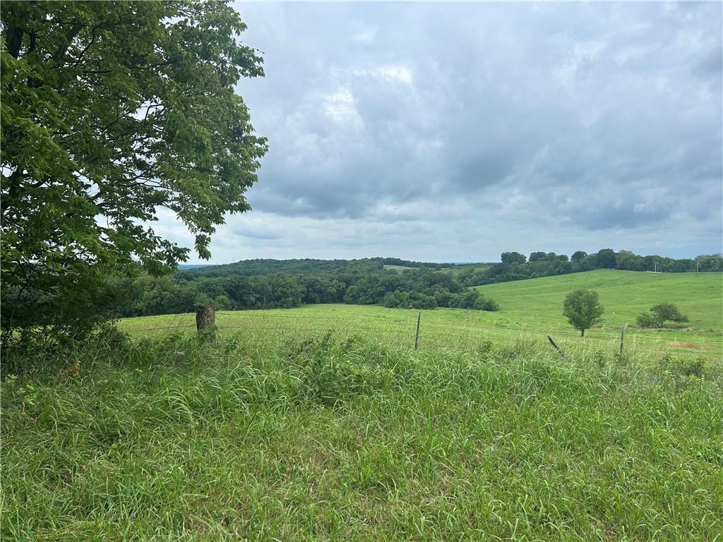 Listing Photo MLS #HMS2566419