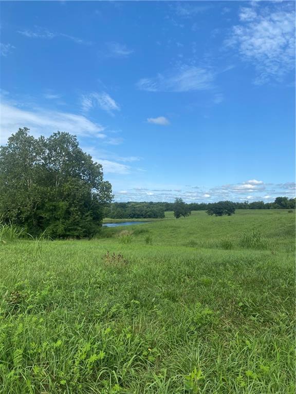 Listing Photo MLS #HMS2566719