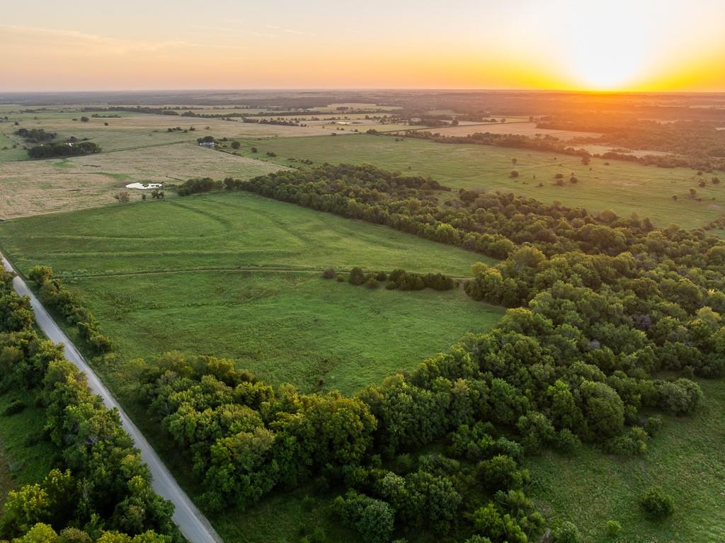 Listing Photo MLS #HMS2566766