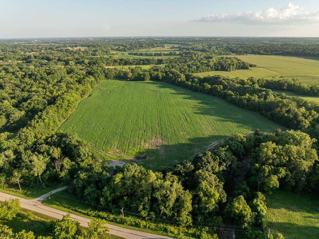 Listing Photo MLS #HMS2566893