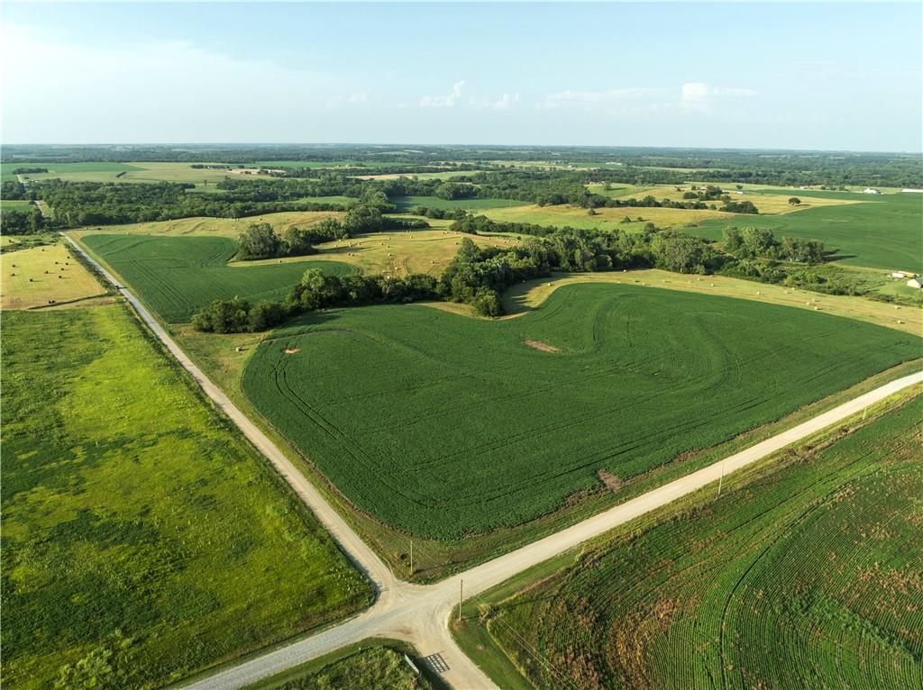 Listing Photo MLS #HMS2567061