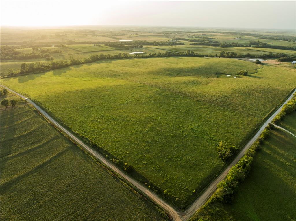 Listing Photo MLS #HMS2567063
