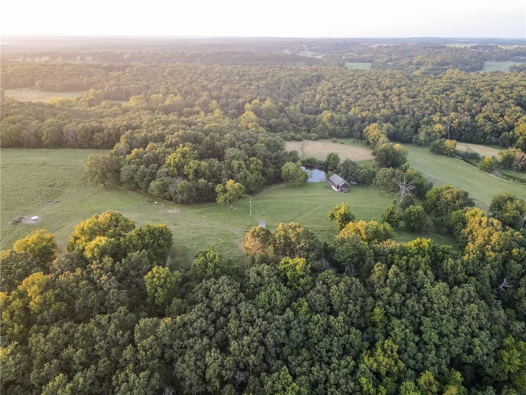 Listing Photo MLS #HMS2567291