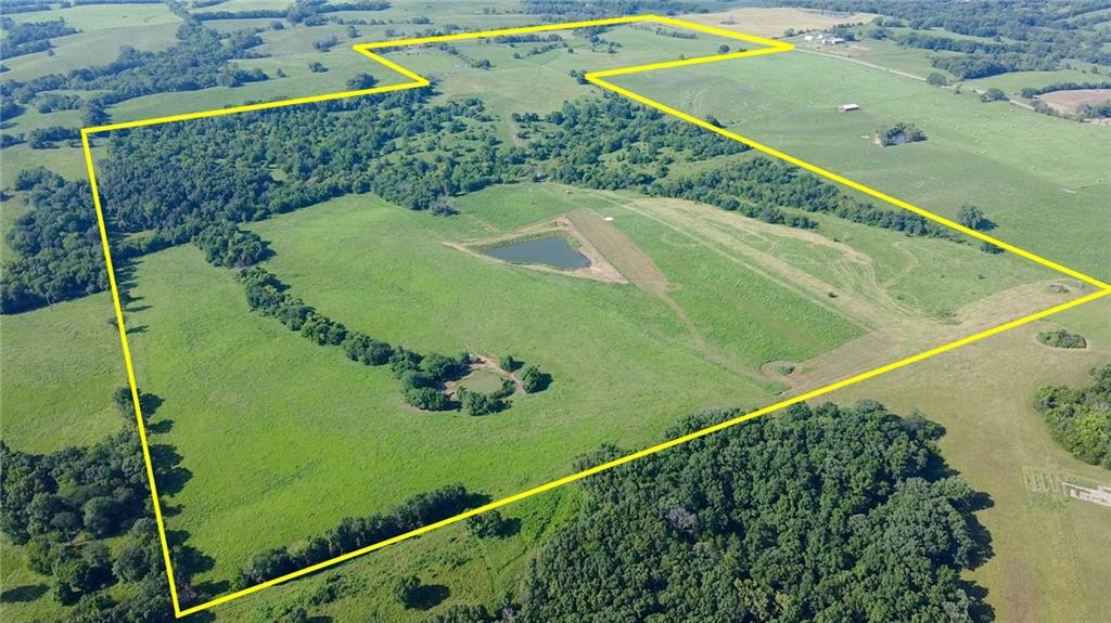 Listing Photo MLS #HMS2567430