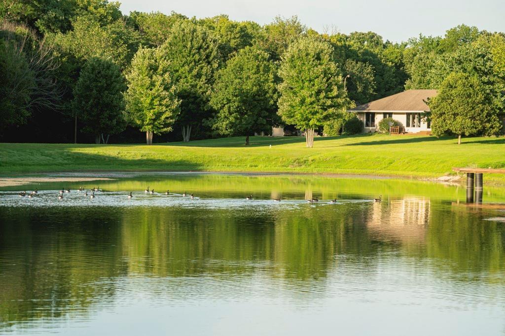 Listing Photo MLS #HMS2567891