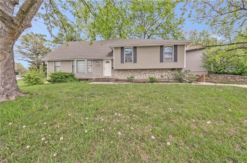 Listing Photo MLS #HMS2569030