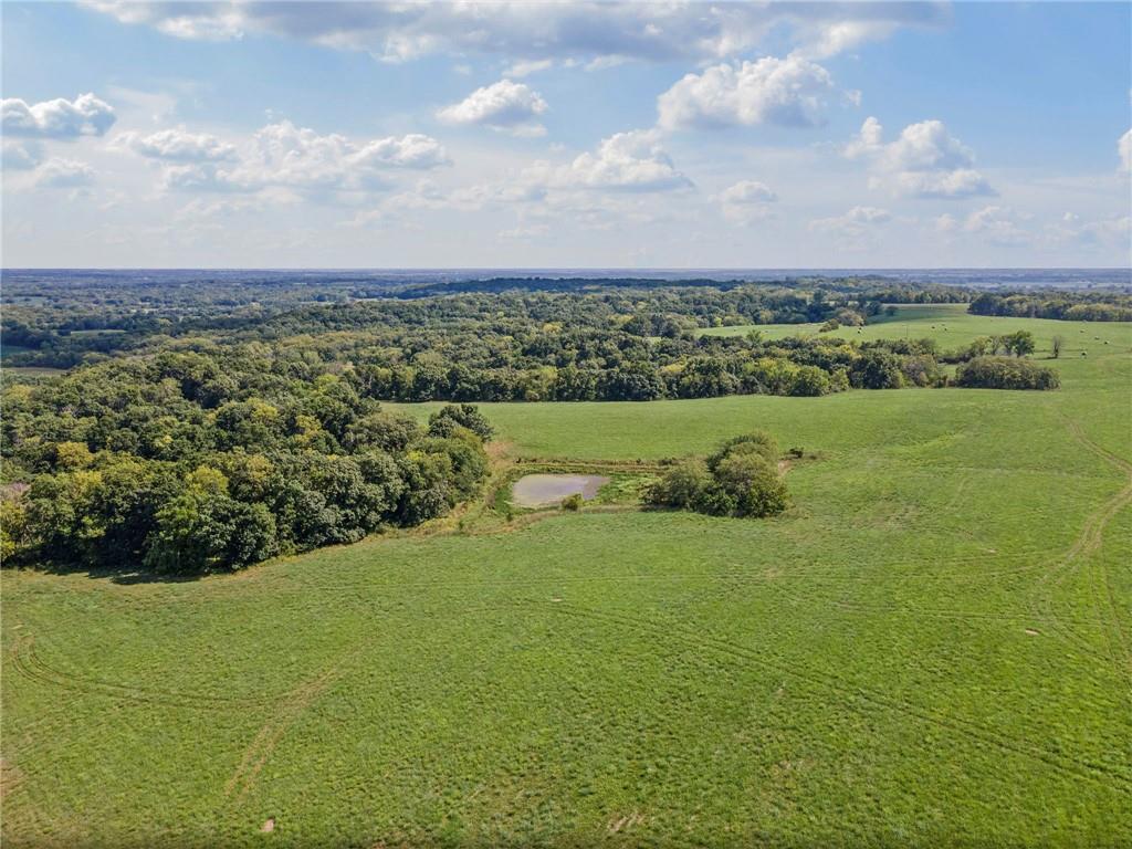 Listing Photo MLS #HMS2569169