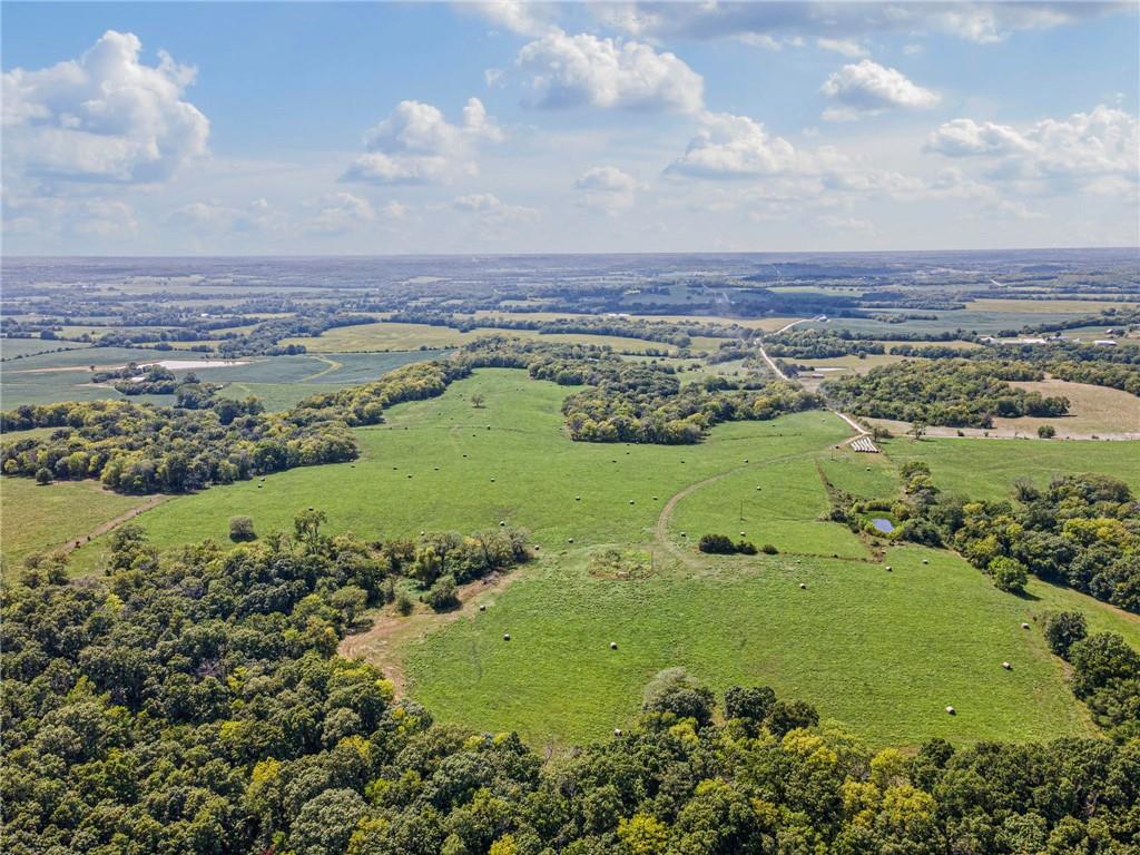 Listing Photo MLS #HMS2569170