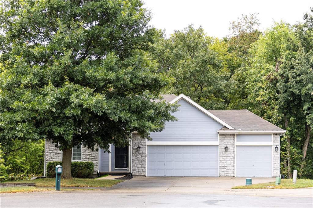 Listing Photo MLS #HMS2569215