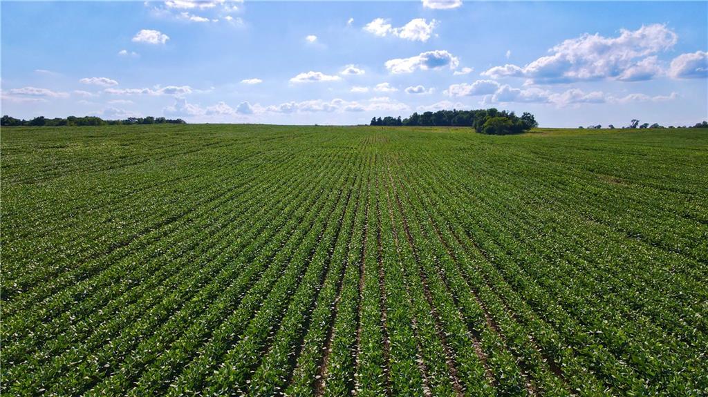 Listing Photo MLS #HMS2569294