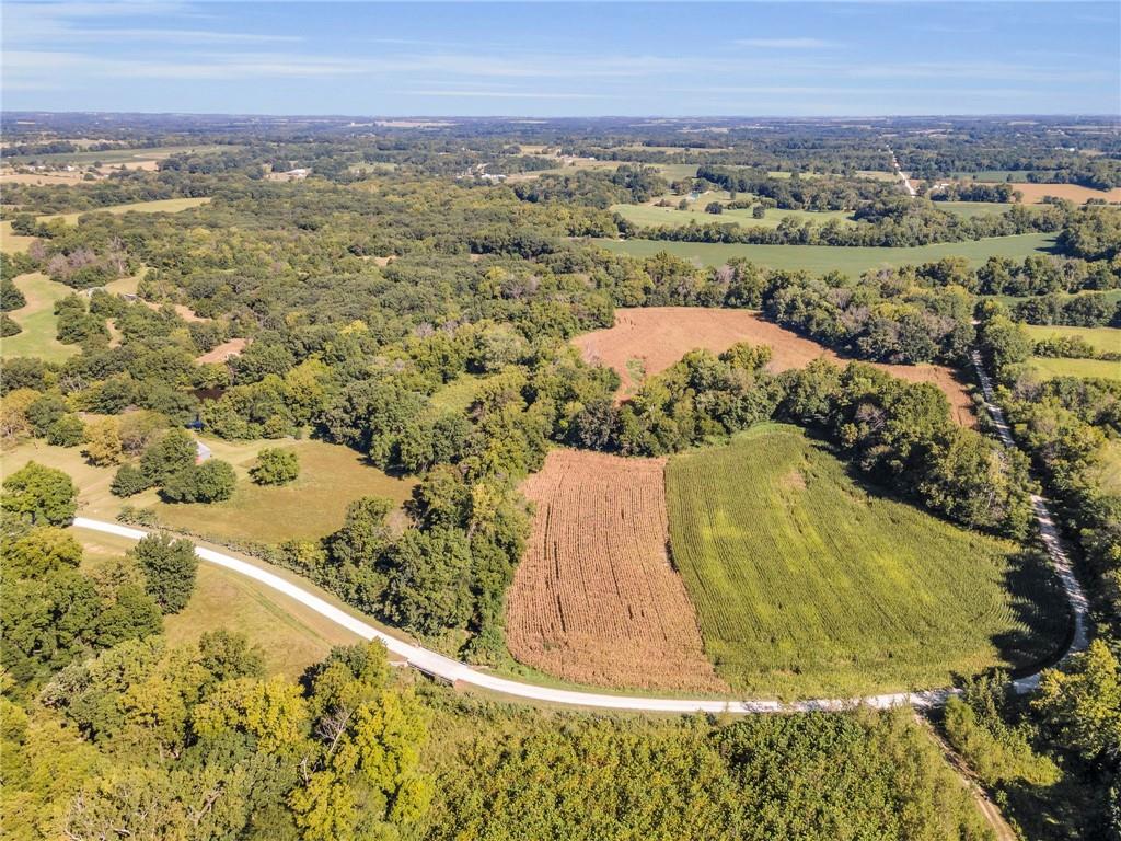 Listing Photo MLS #HMS2569326