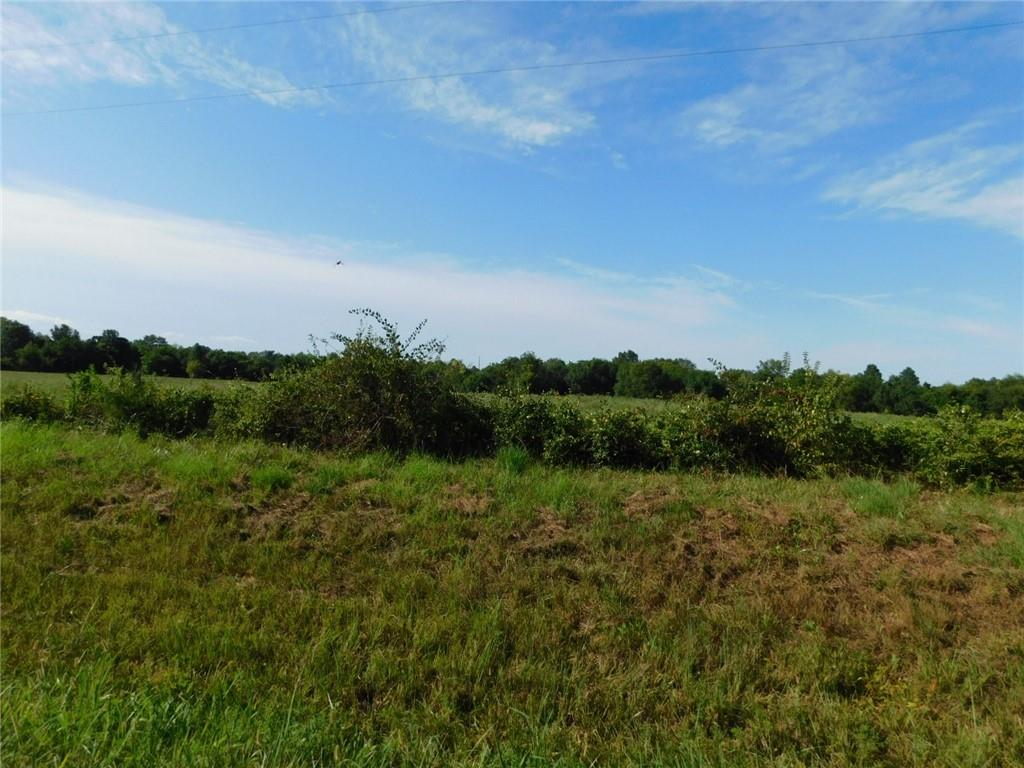 Listing Photo MLS #HMS2569978