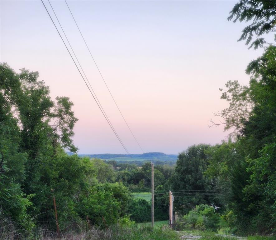 Listing Photo MLS #HMS2570330