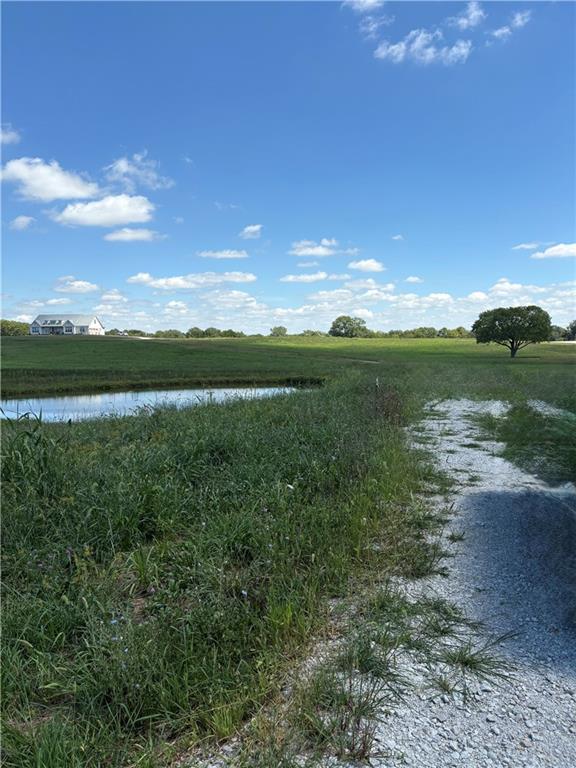 Listing Photo MLS #HMS2570344