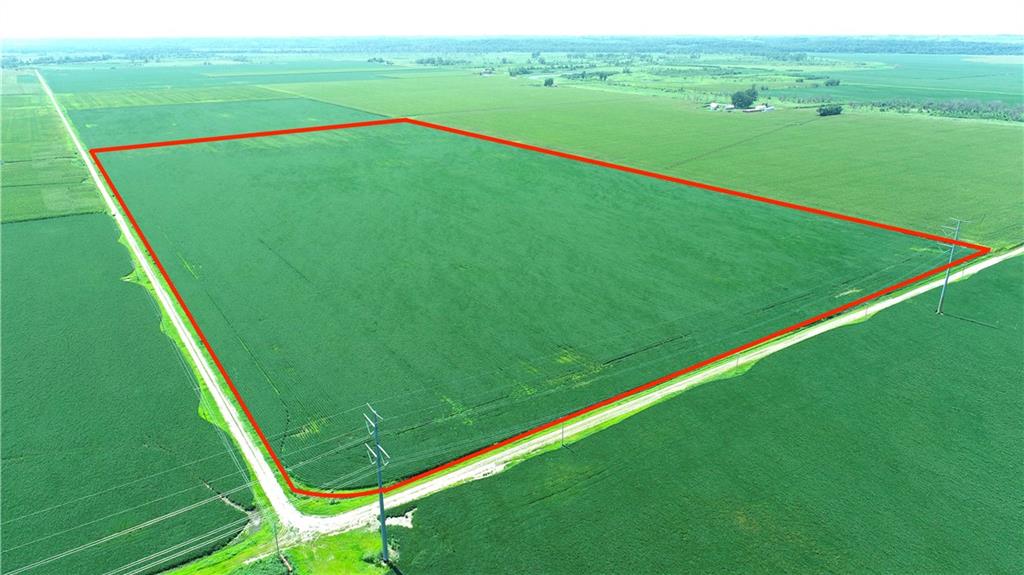 Listing Photo MLS #HMS2570457