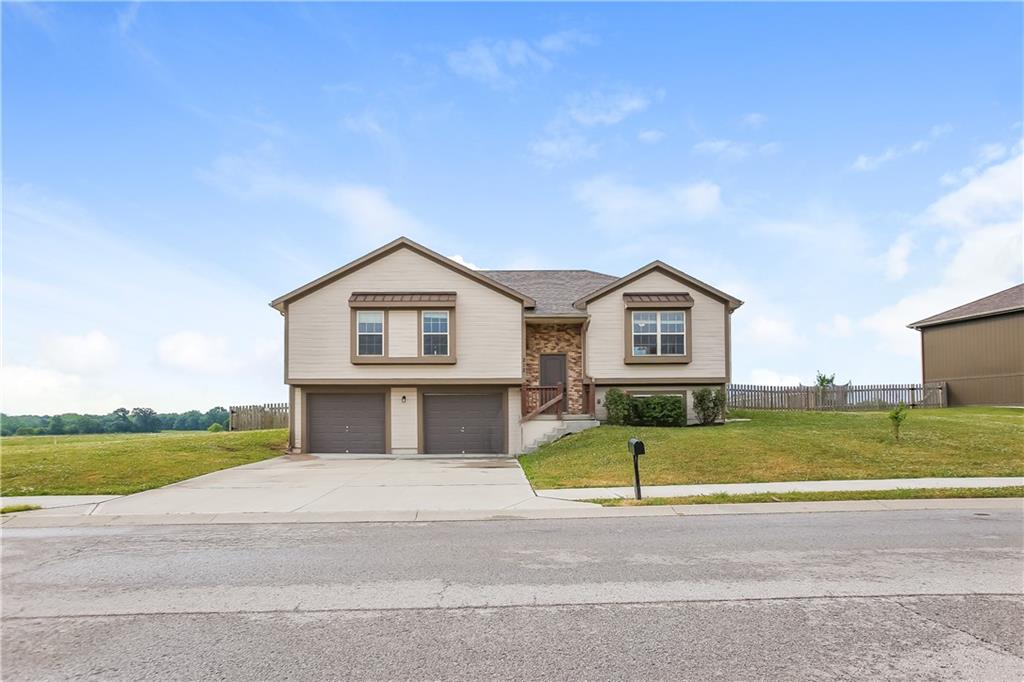 Listing Photo MLS #HMS2570474