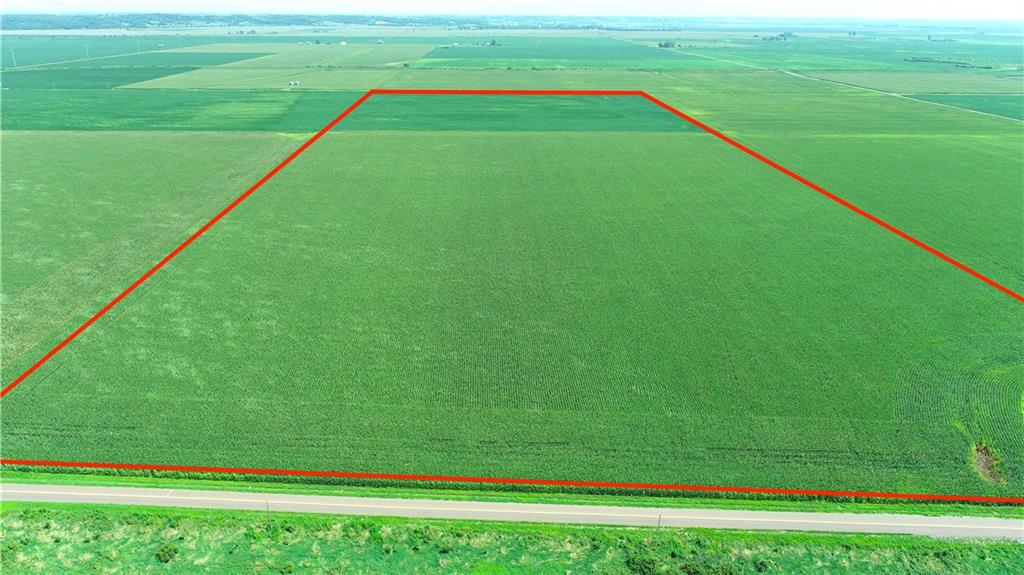 Listing Photo MLS #HMS2570478