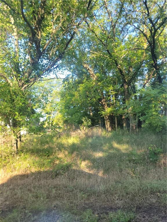 Listing Photo MLS #HMS2570488