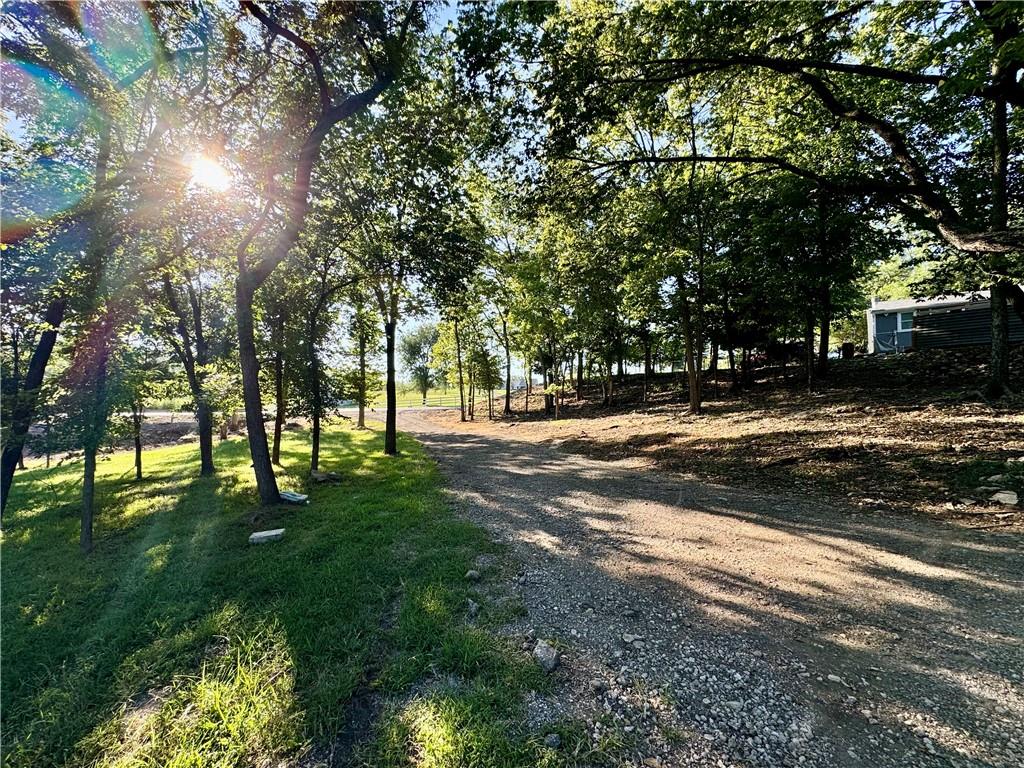 Listing Photo MLS #HMS2570615