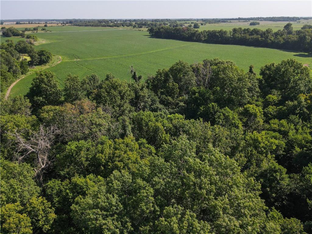 Listing Photo MLS #HMS2570629