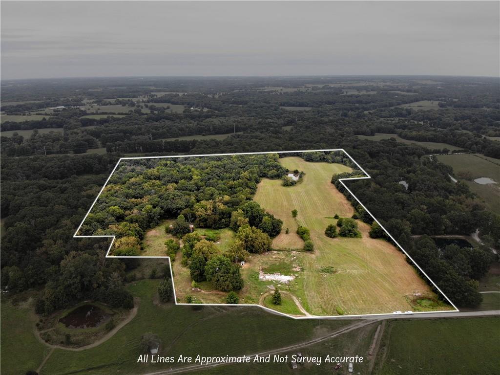 Listing Photo MLS #HMS2570804