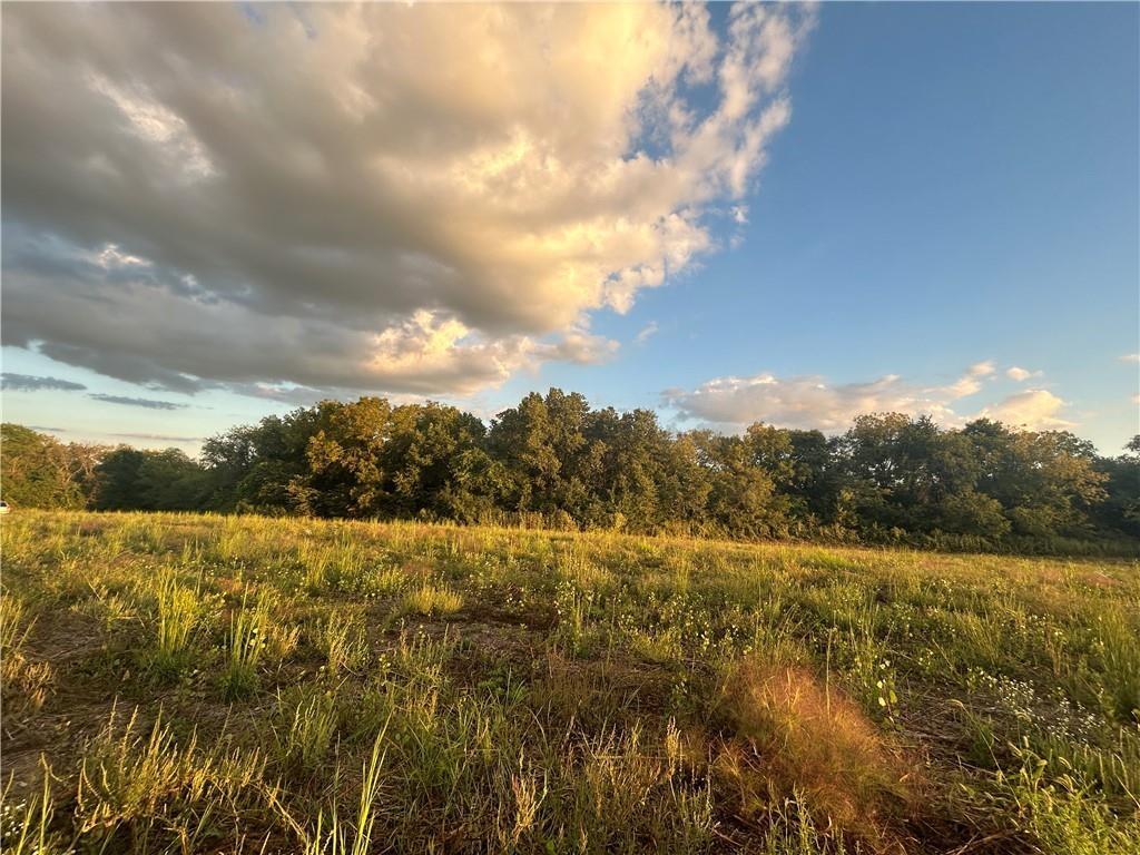Listing Photo MLS #HMS2570816