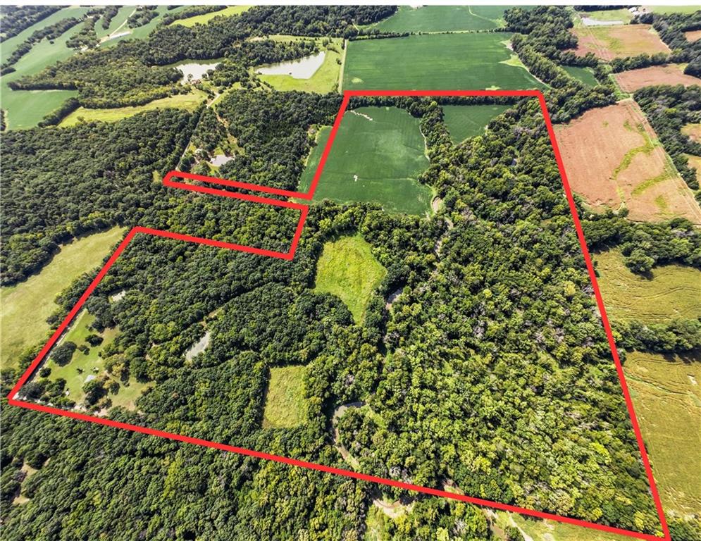 Listing Photo MLS #HMS2571248