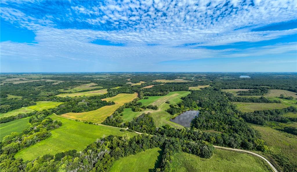 Listing Photo MLS #HMS2571663