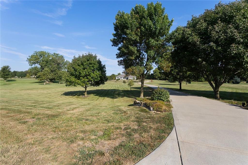 Listing Photo MLS #HMS2571946