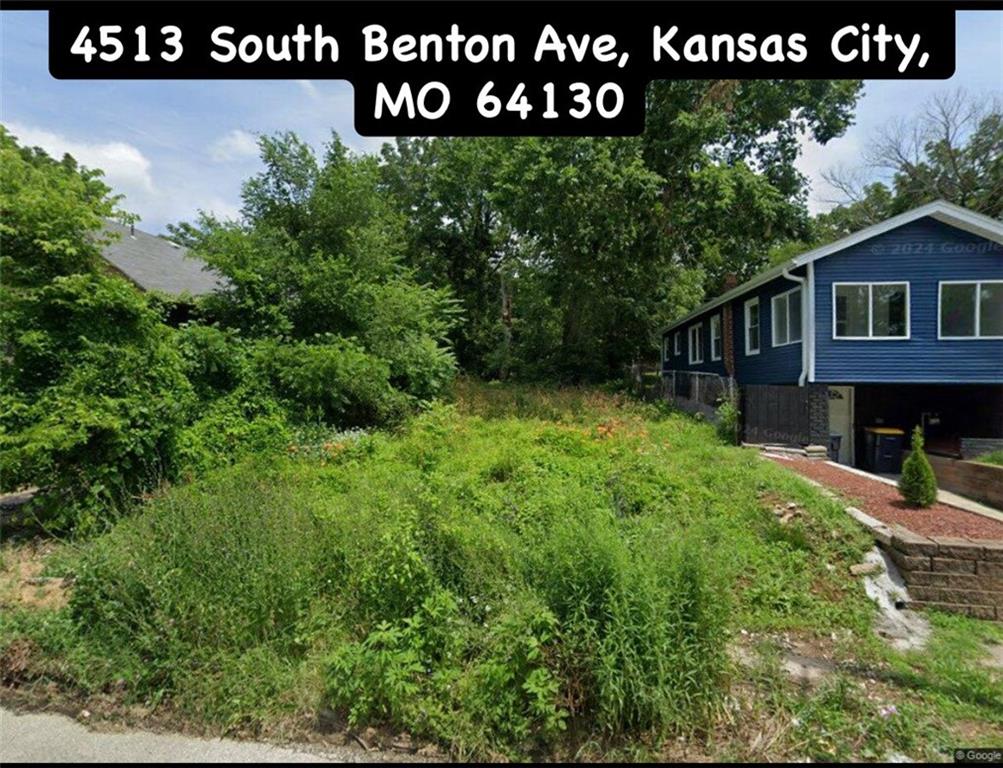 Listing Photo MLS #HMS2572166